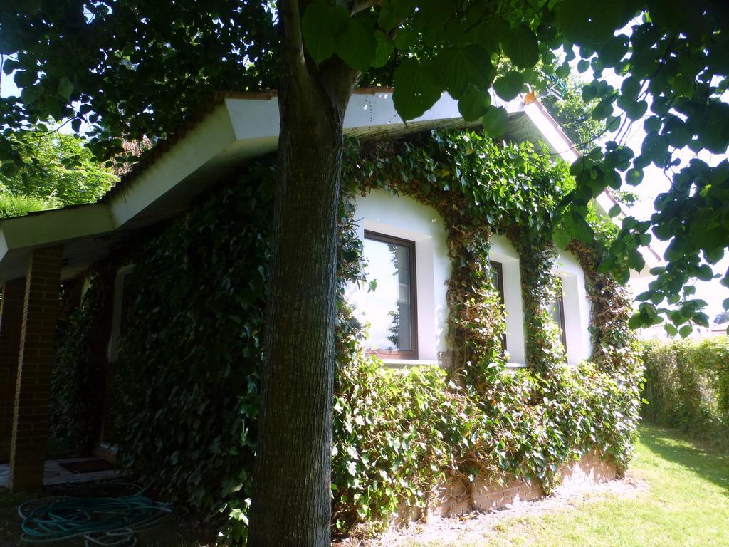 リバデセリャ La Casina De Torraゲストハウス エクステリア 写真